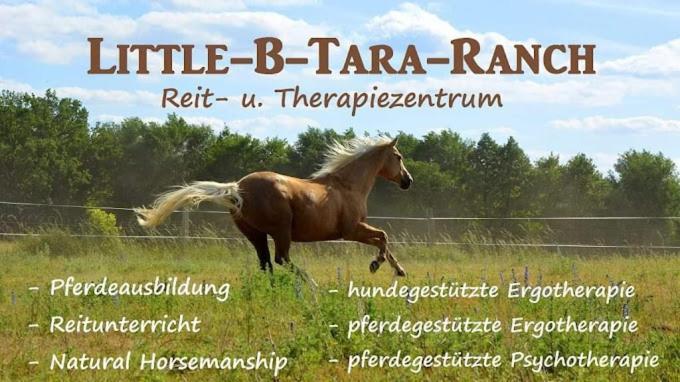 Martinsgarten Angermunde Zewnętrze zdjęcie